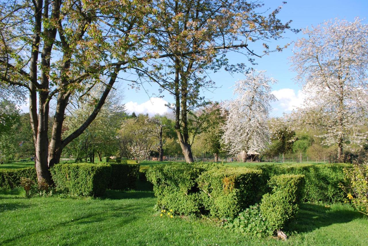 Gites Aux Fleurs De Cerises Le Plessis-Luzarches Buitenkant foto